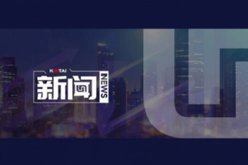 AI驱动新增长，扣非净利提升10%，710公海官网数码2025一季度稳健开局
